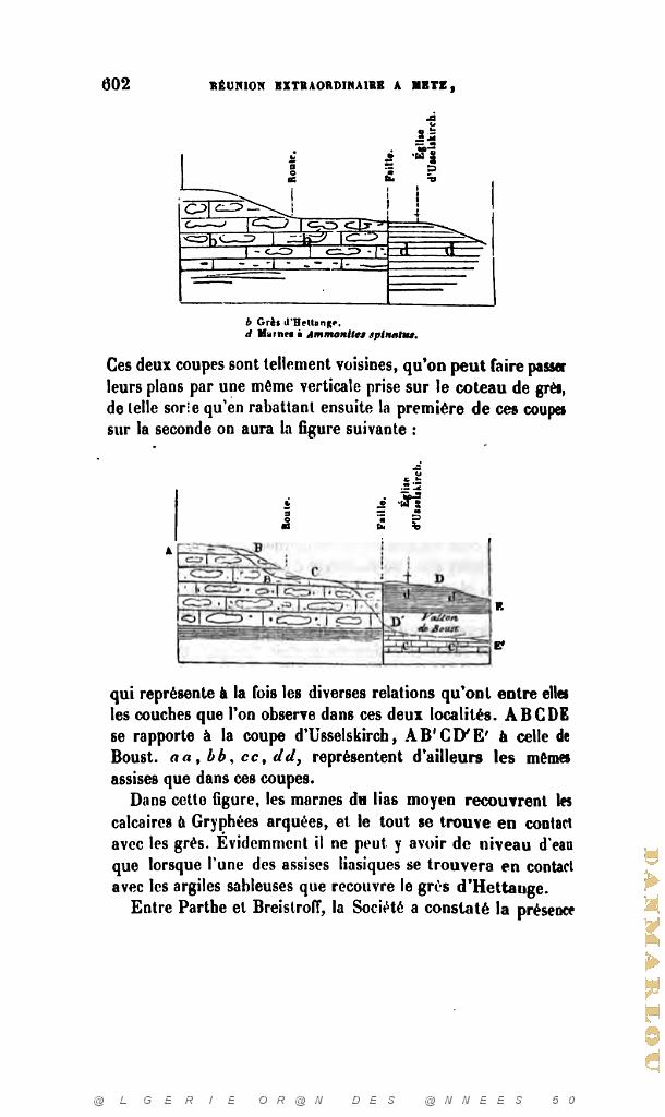 BULLETIN DE LA SOCIETE GEOLOGIQUE DE FRANCE 1852_000651.jpg